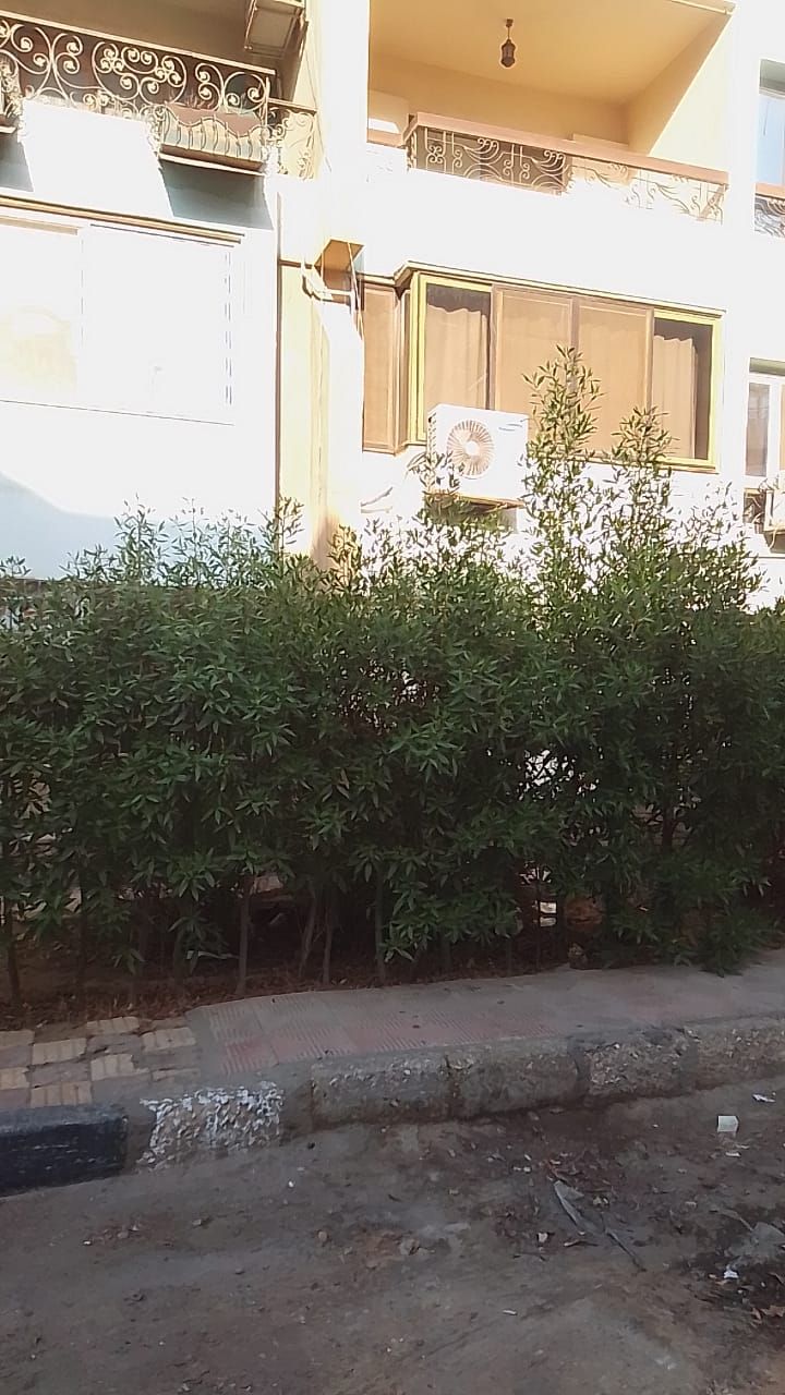    مصر جديده الشيراتون المطار 