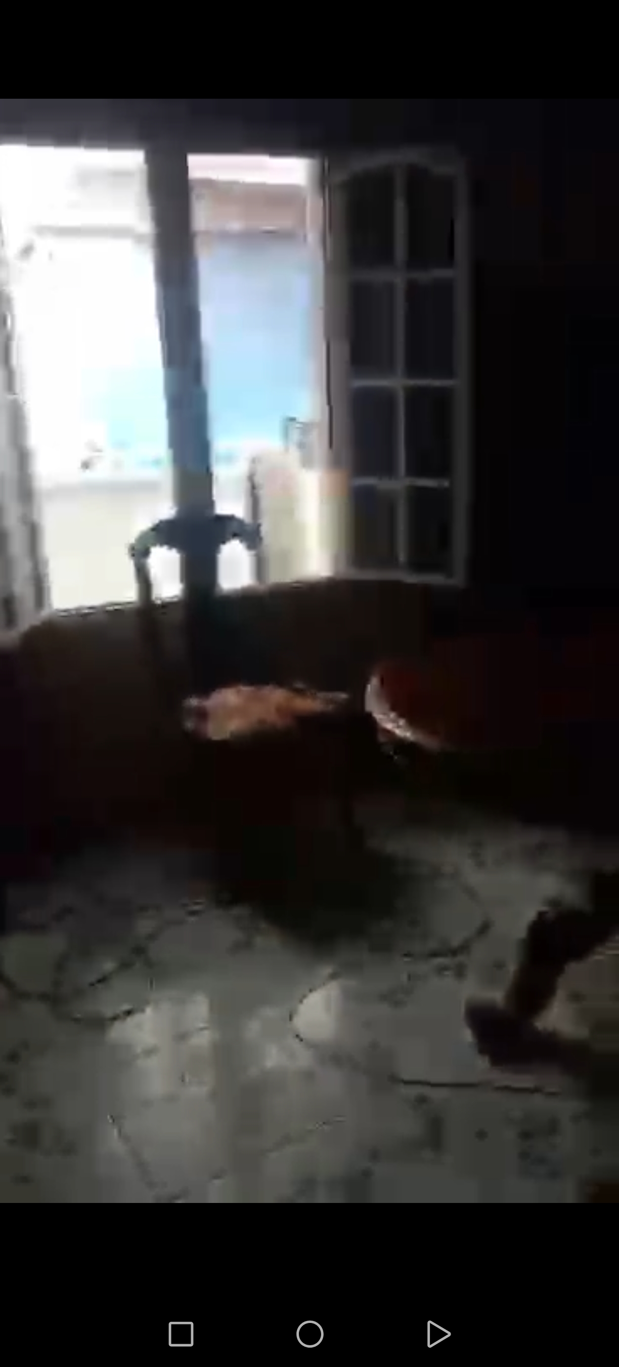 شقه بيطاش جنب يمين 